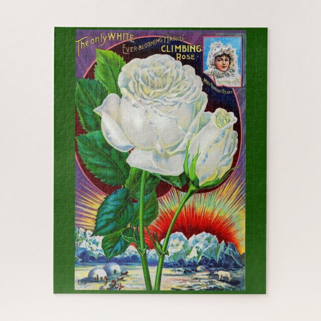 1890s rose catalog illustration White Rose Jigsaw Puzzle (Vertical)