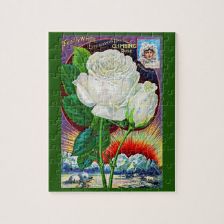 1890s rose catalog illustration White Rose Jigsaw Puzzle