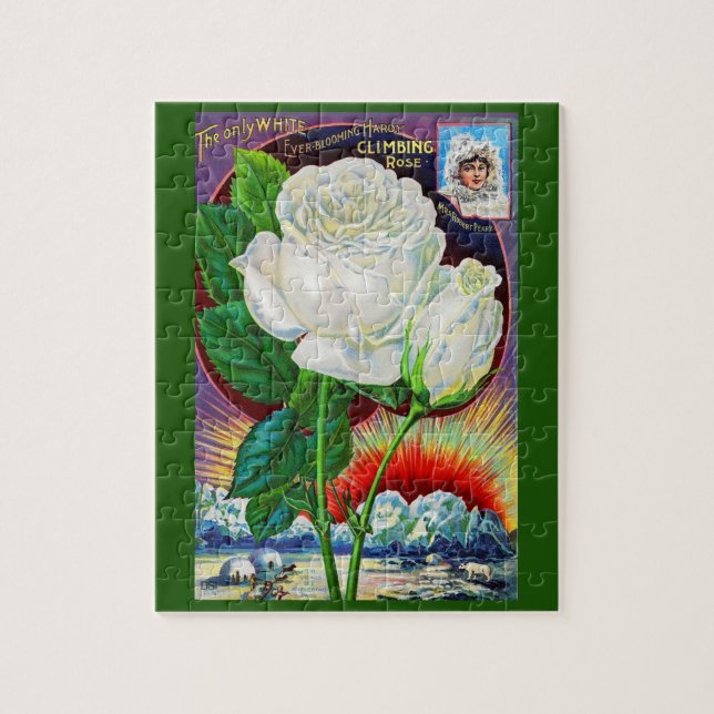 1890s rose catalog illustration White Rose Jigsaw Puzzle (Vertical)