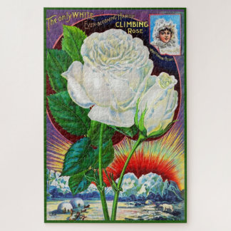 1890s rose catalog illustration White Rose Jigsaw Puzzle