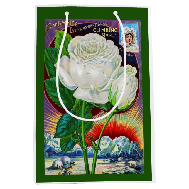 1890s rose catalog illustration White Rose Medium Gift Bag (Front)