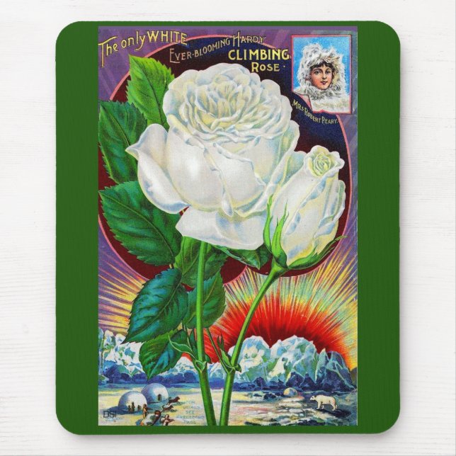 1890s rose catalog illustration White Rose Mouse Pad (Front)