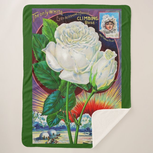 1890s rose catalog illustration White Rose Sherpa Blanket (Front)
