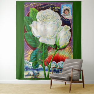 1890s rose catalog illustration White Rose Tapestry