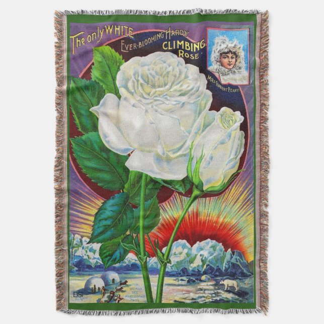 1890s rose catalog illustration White Rose Throw Blanket (Front Vertical)
