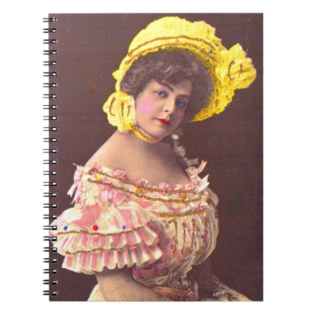 1890s woman in frilly attire notebook (Front)