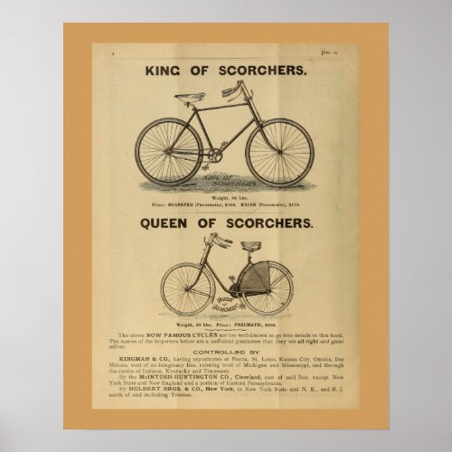 1893 Vintage Bicycle Magazine Ad Art Poster