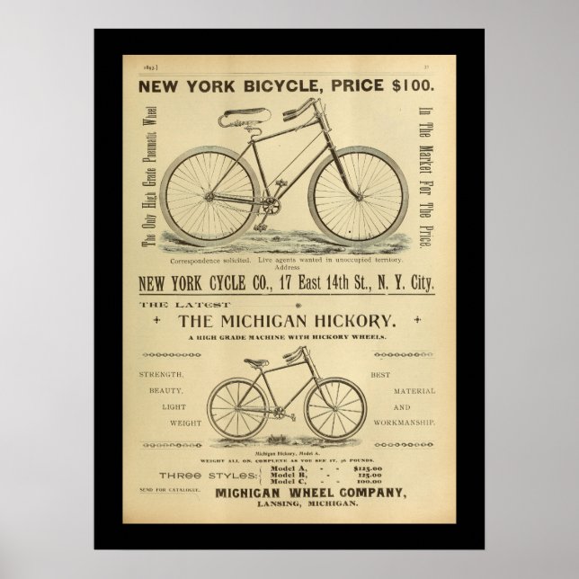 1893 Vintage Bicycle Magazine Ad Art Poster (Front)