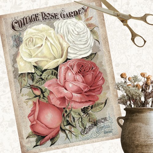 1896 COTTAGE ROSE GARDEN TISSUE PAPER