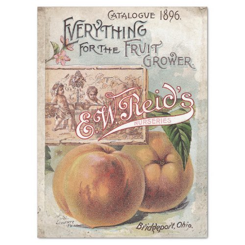1896 FRUIT GROWER CATALOGUE TISSUE PAPER