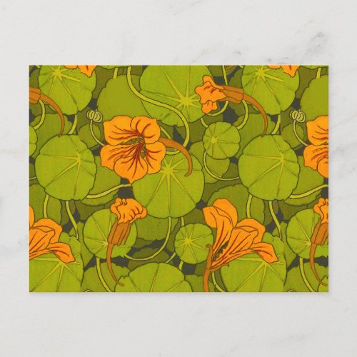 1896 Victorian Nasturtium Floral Print Postcard