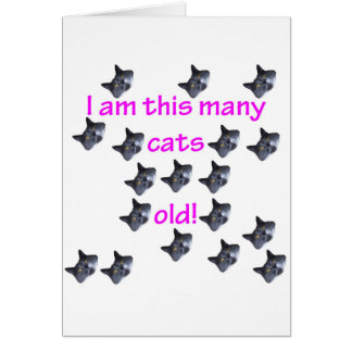 18 Cat Heads Old Cards