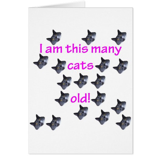 18 Cat Heads Old Cards (Front)