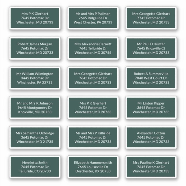 18 Recipient Name Wedding Mailing Address Labels (Front)