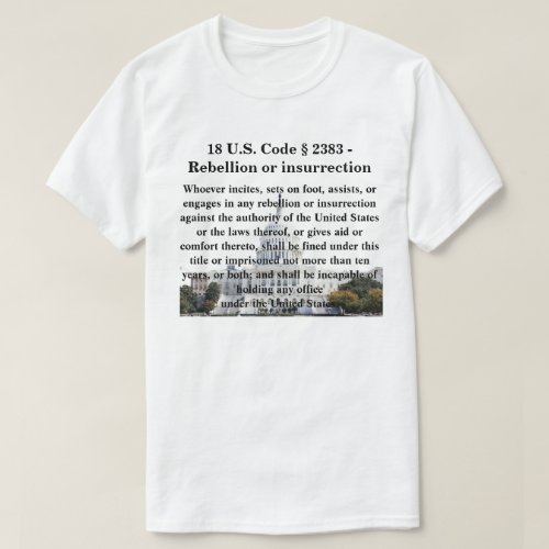 18 US Code  2383 _ Rebellion or insurrection T_Shirt