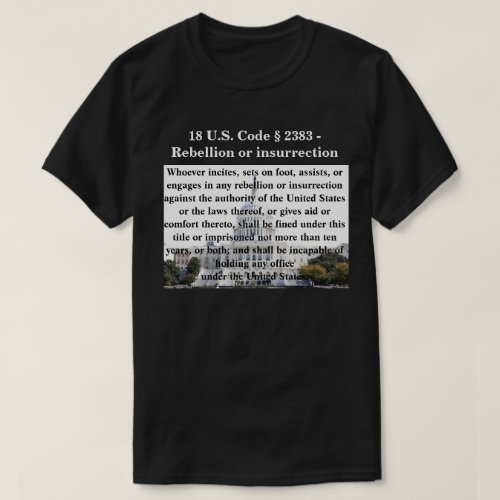 18 US Code  2383 _ Rebellion or insurrection T_ T_Shirt