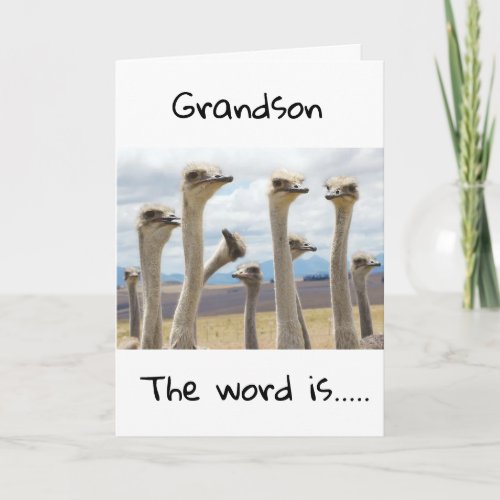 **18** YOU ARE NOW A TEENAGER **GRANDSON** CARD