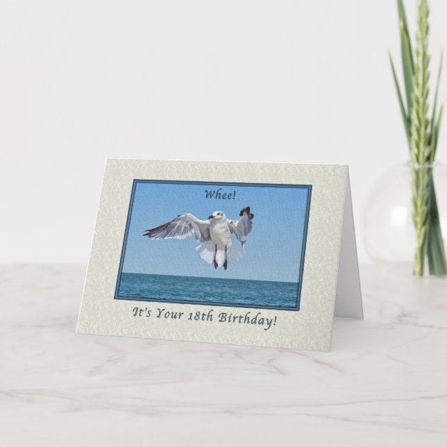 18th Birthday Card with Laughing Gull Bird (Front)