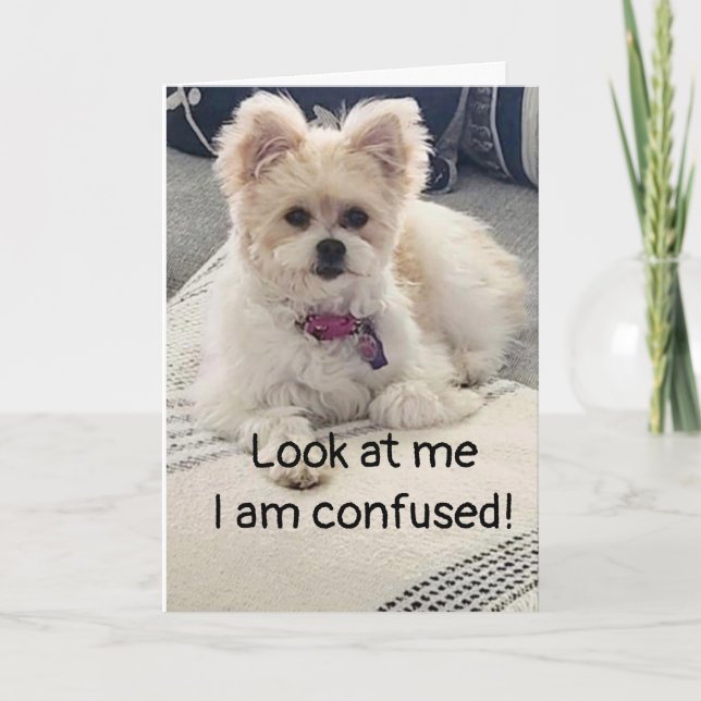 **18th BIRTHDAY** SO VERY CONFUSED! Card (Front)