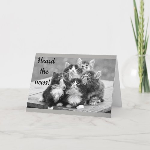 18th BIRTHDAY WISHES FROM CUTE KITTENS Card