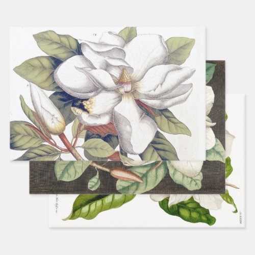 18TH CENTURY MAGNOLIAS HEAVY WEIGHT DECOUPAGE WRAPPING PAPER SHEETS