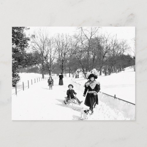 1900 Central Park NYC Postcard