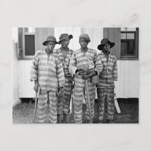 1900 Southern Chain Gang Postcard