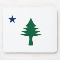 1901 Maine Flag