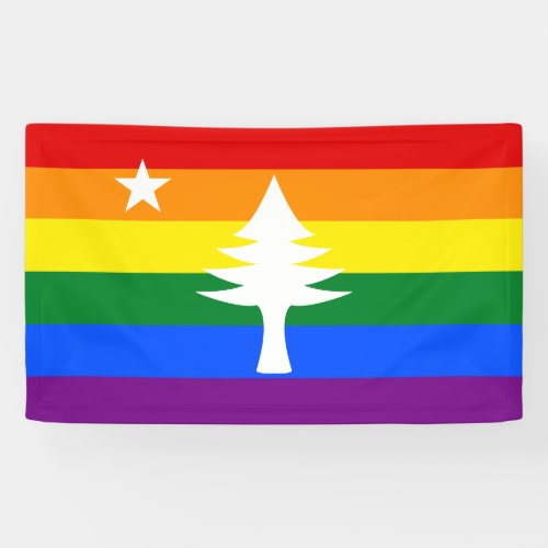 1901 Maine Flag Outdoor Banner _ Rainbow Edition