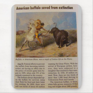 1902 American Buffalo Saved from Extinction Mouse Pad