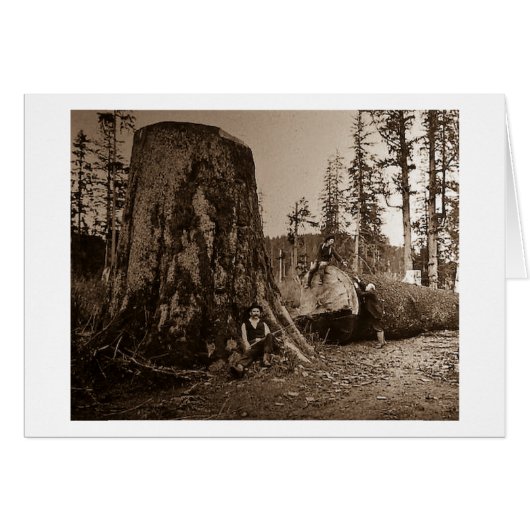 1903 Vintage Lumberjacks Magic Lantern Slide (Front Horizontal)