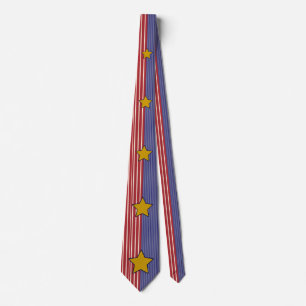 1904 Bully Pulpit Neck Tie