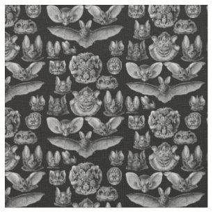 1904 Haeckel Chiroptera Fabric