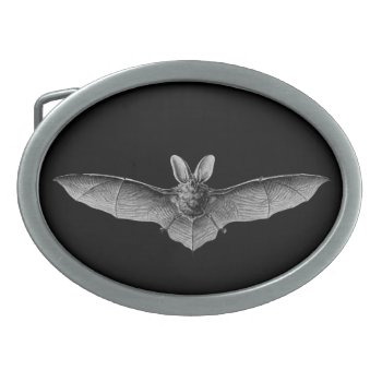 1904 Haeckel Chiroptera Oval Belt Buckle by EndlessVintage at Zazzle
