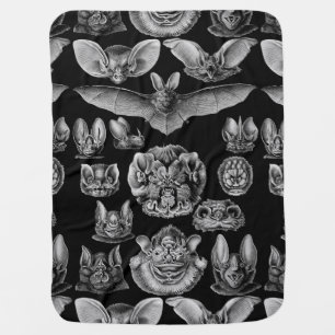 1904 Haeckel Chiroptera Swaddle Blanket