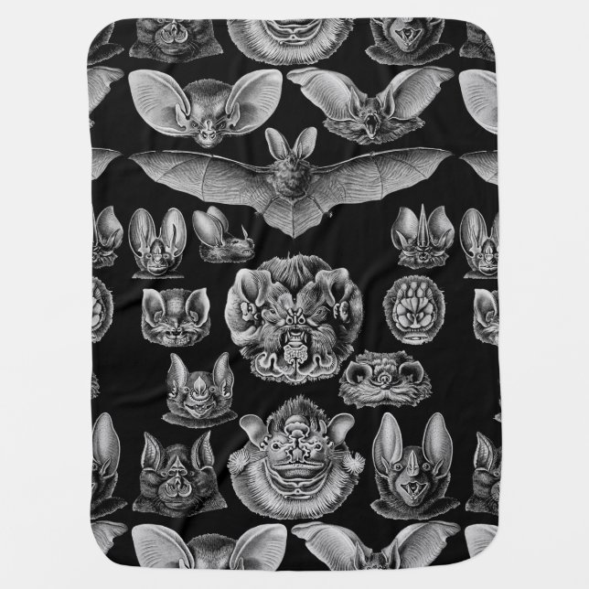 1904 Haeckel Chiroptera Swaddle Blanket (Front)