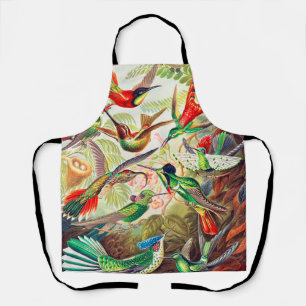 1904 hummingbirds print apron