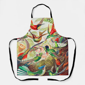 1904 hummingbirds print apron