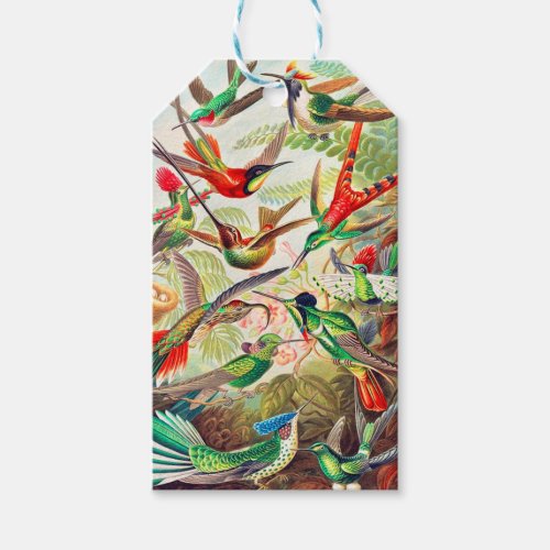 1904 hummingbirds print gift tags