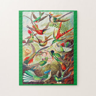 1904 hummingbirds print jigsaw puzzle