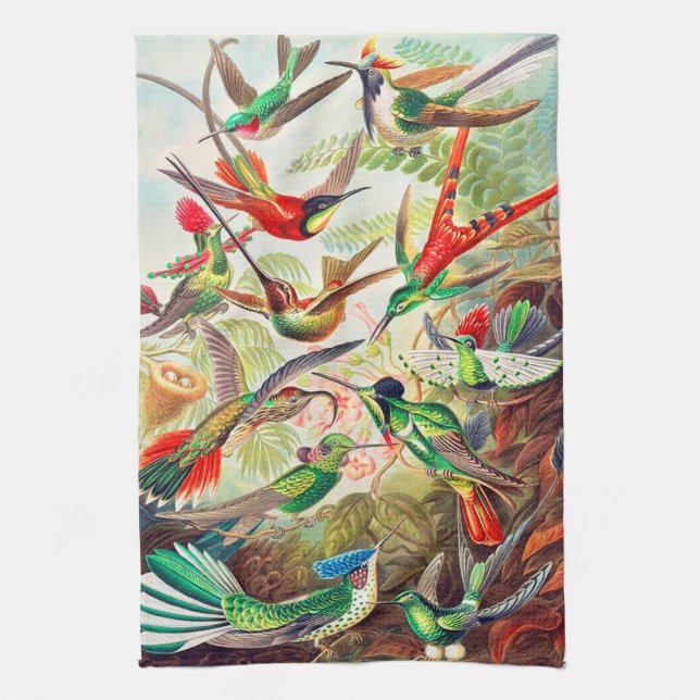 1904 hummingbirds print kitchen towel (Vertical)