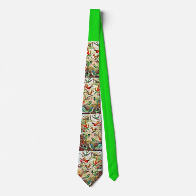 1904 hummingbirds print neck tie (Front)