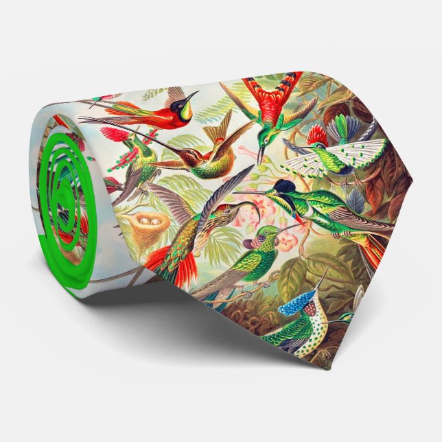 1904 hummingbirds print neck tie (Rolled)