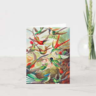 1904 hummingbirds print note card