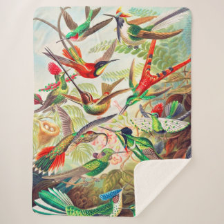 1904 hummingbirds print sherpa blanket