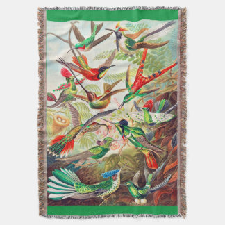 1904 hummingbirds print throw blanket
