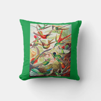 1904 hummingbirds print throw pillow