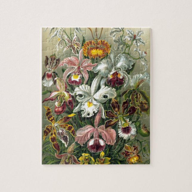 1904 Orchids Art Forms of Nature Print Jigsaw Puzzle (Vertical)