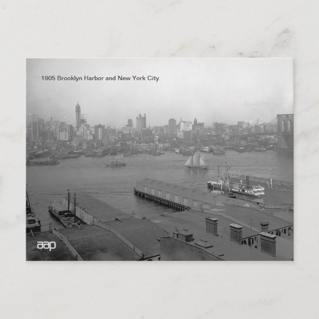 1905 Brooklyn Harbor and New York City Postcard (Front)