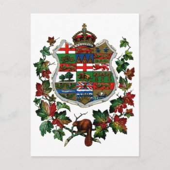 1905 Canadian Coat Of Arms Postcard by historicimage at Zazzle